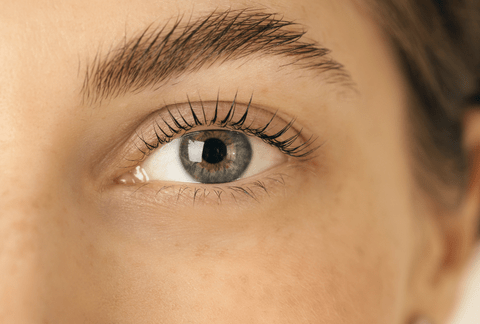 Lashlift & Browlift